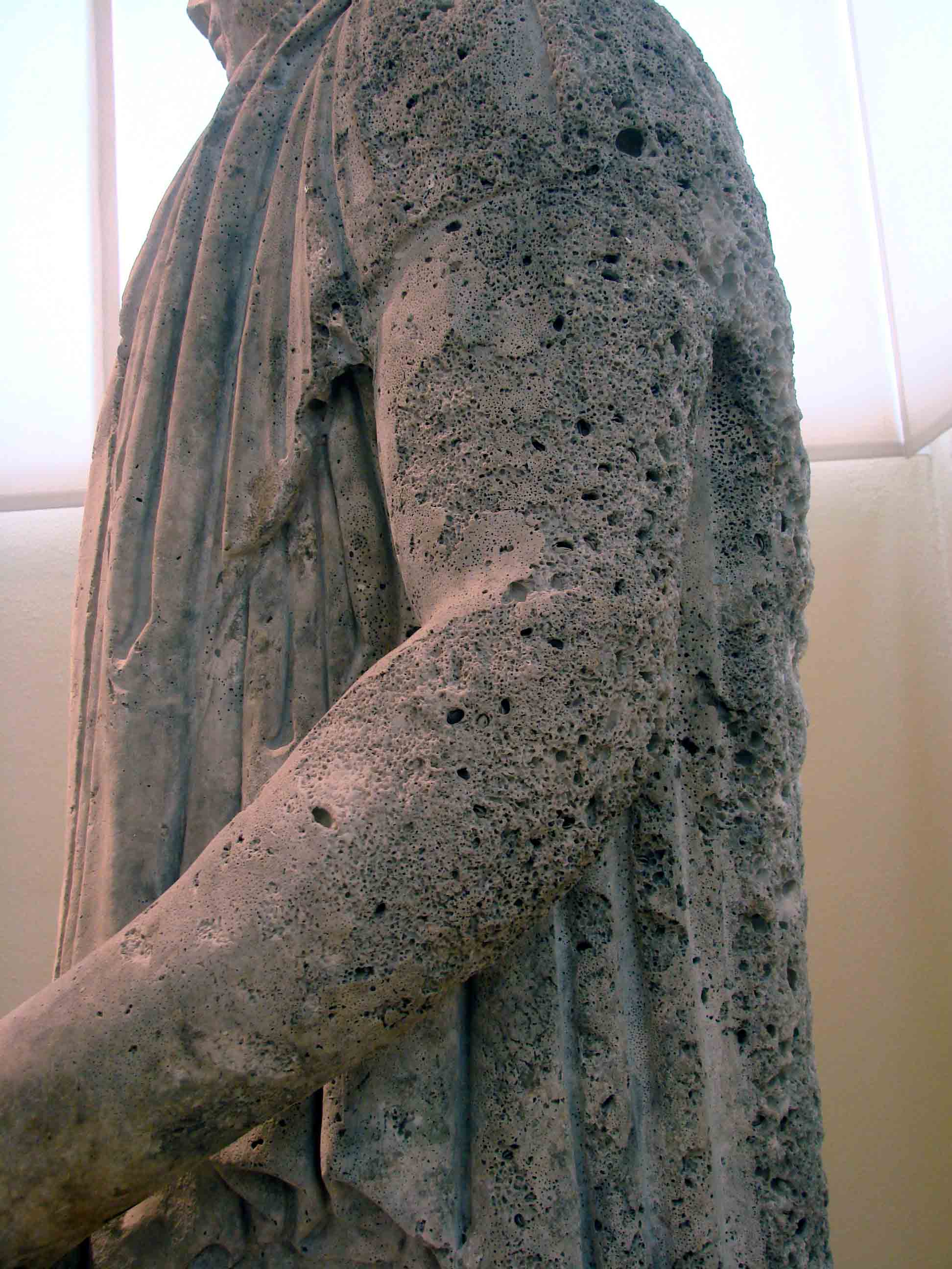 l'' imperatore Decimus Coelius Balbinus ed i suoi fossili...: